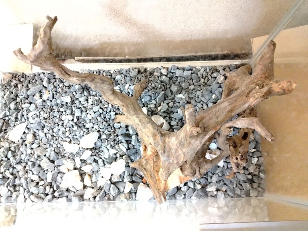 流木Ｎｏ．Ａ23　春まで休みます