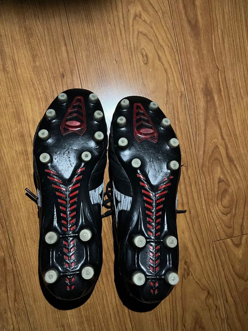う*ぎ様 MORELIA NEO IV